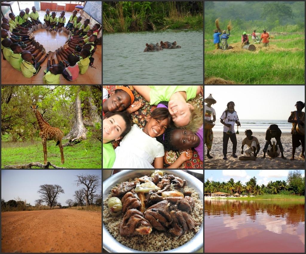 Potuj Kot Prostovoljec Afrika