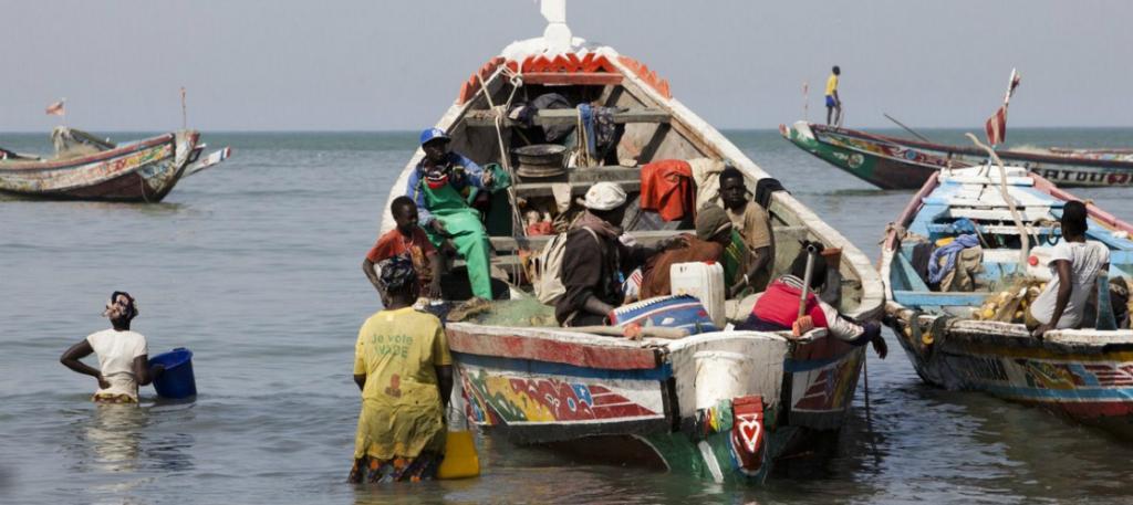 waiting-for-daily-catch