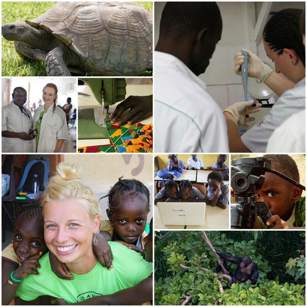 področja prostovoljnega dela